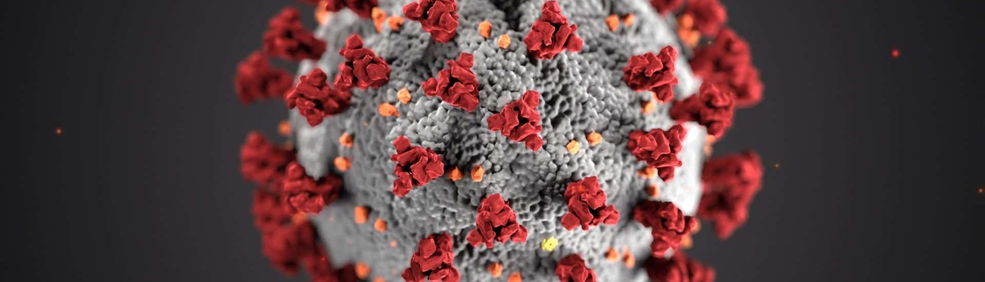 A closeup of the covid-19 virus under a microscope